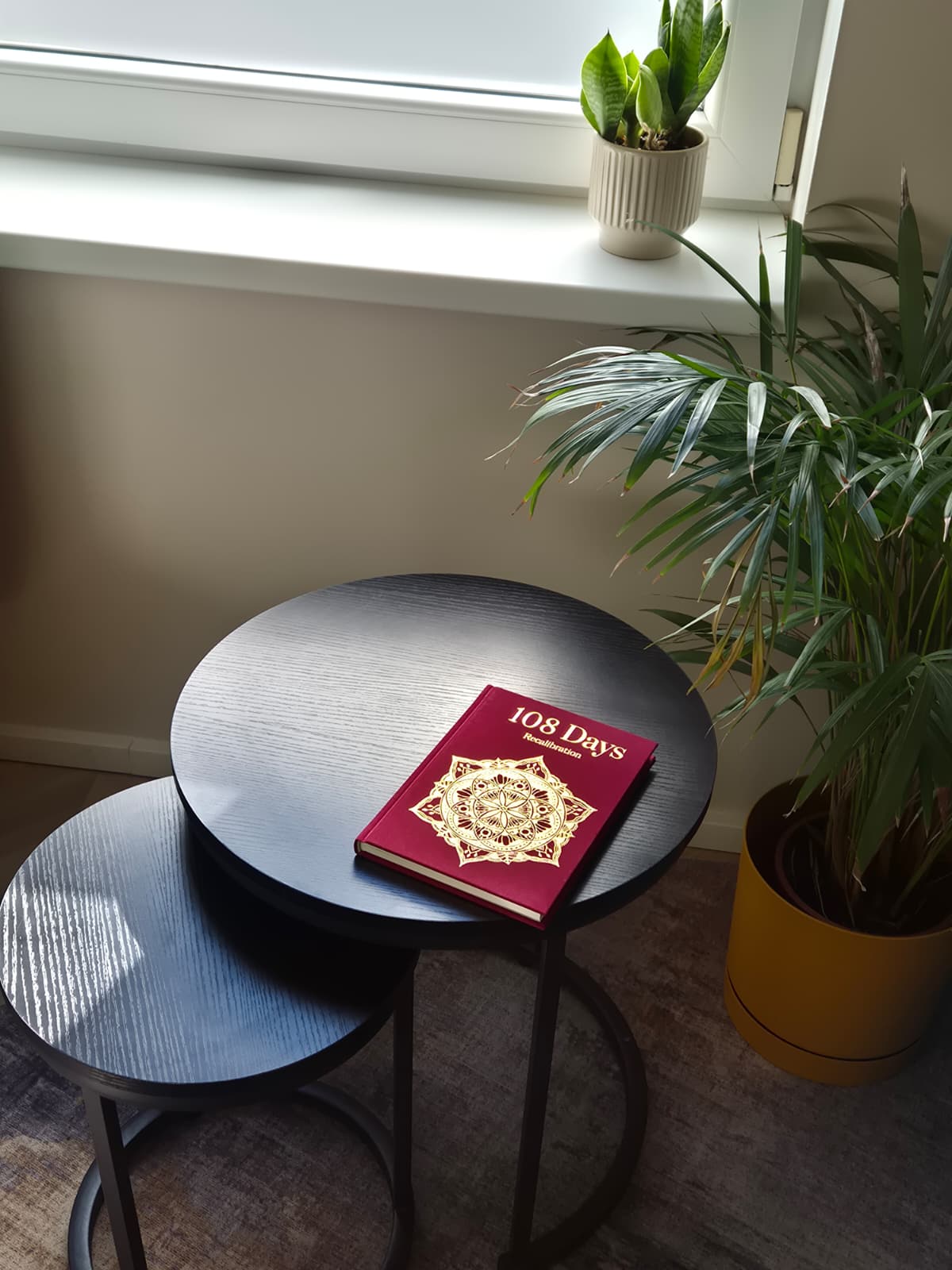 108 Days Recalibration book resting on a dark wooden table beside houseplants in natural window light